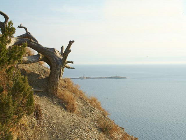 Фотография Сукко