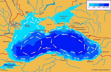 Течения Черного моря